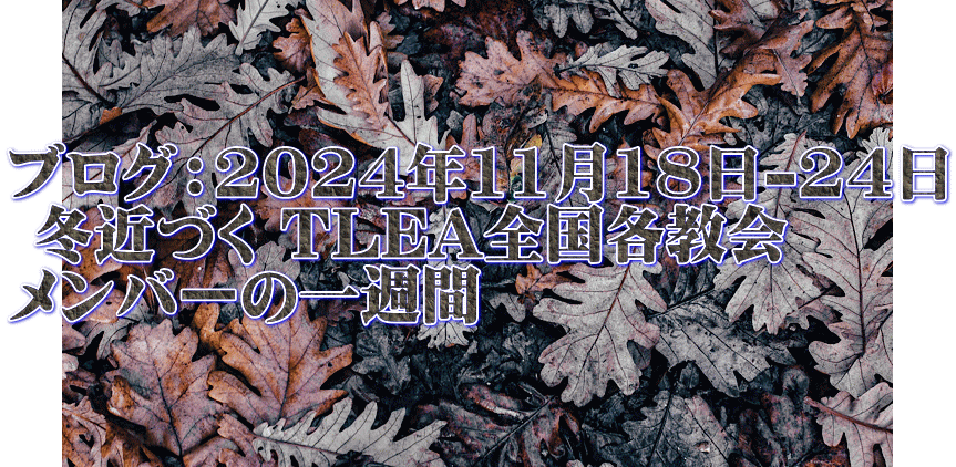 ブログ：2024年11月18日-24日  冬近づく TLEA全国各教会 メンバーの一週間