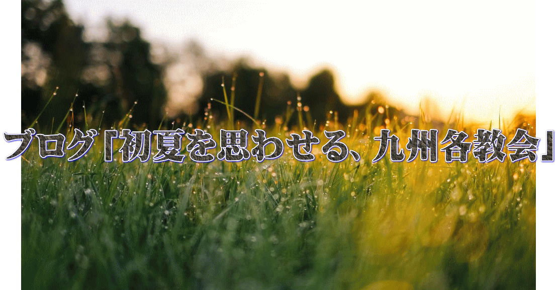 ブログ「初夏を思わせる、九州各教会」